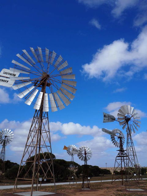 BIG4 Ceduna Tourist Park - Cruises Travel 33