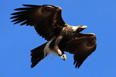 Eagles Range - Tourism Guide 16