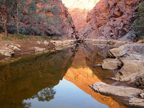 Arkaroola Wilderness Sanctuary - Tourism Guide 6