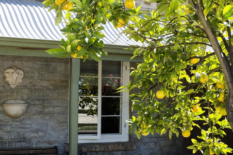 Grand Cru Estate Homestead - Tourism Guide 10