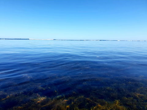 Rocks Retreat House With Sea Views - Travel Agents 8