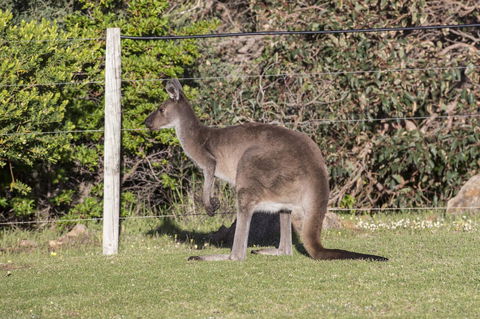 Chandlers Smiths Beach Villas - Travel Search 15