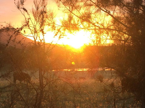 Grapevines Boutique Accommodation - Travel Agents 27