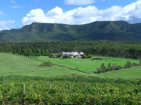 Grapevines Boutique Accommodation - Travel Agents 23