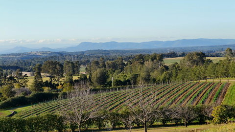 Grapevines Boutique Accommodation - Travel Agents 21