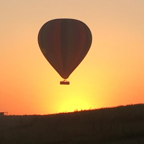 Grapevines Boutique Accommodation - Travel Agents 13