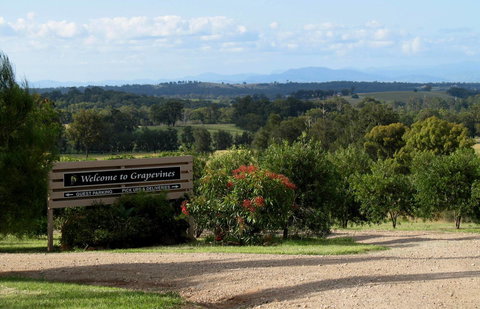 Grapevines Boutique Accommodation - Travel Agents 15