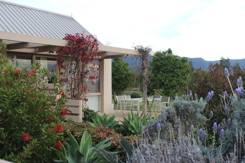 Grapevines Boutique Accommodation - Travel Agents 28