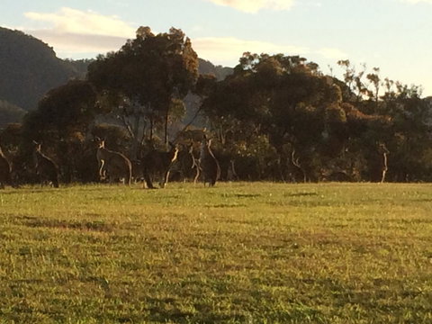 Grapevines Boutique Accommodation - Travel Agents 26