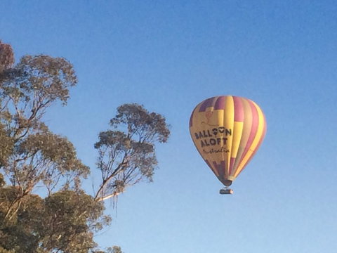 Grapevines Boutique Accommodation - Travel Agents 12