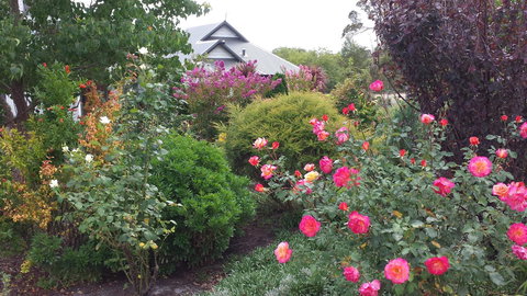 Glenelg On King Bed & Breakfast - Travel Agents 15