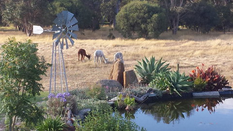 Glenelg On King Bed & Breakfast - Travel Agents 19