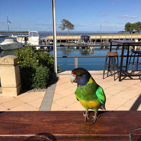 Mandurah Quay Resort - Tourism Guide 32