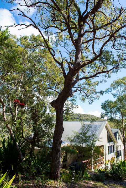 Nelson Bay Bed & Breakfast - Cruises Travel 42