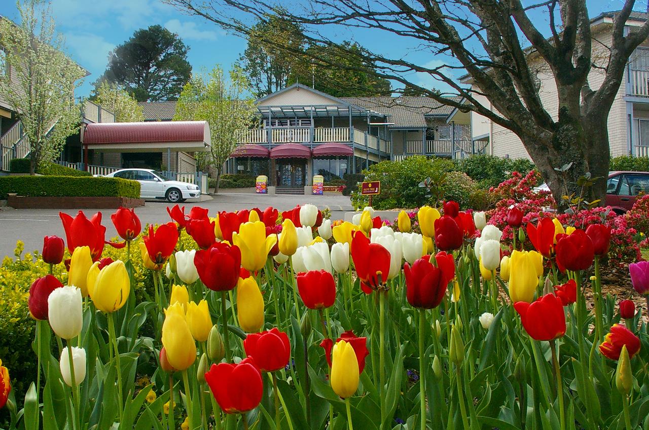 Leura NSW Tourism Guide