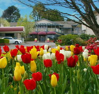 Nesuto Leura Gardens formerly Waldorf Leura Gardens Resort - Tourism Guide