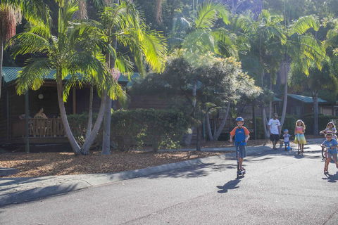 The Palms At Avoca - Cruises Travel 14