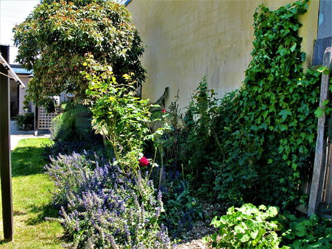 Apple Tree Cottage - Travel Agents 24