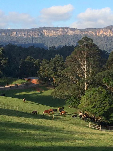 Amaroo Valley Springs - Tourism Guide 0