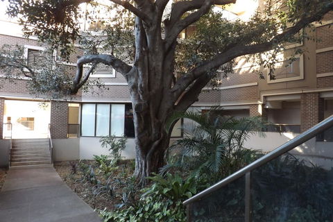 Fiori Apartments - Tourism Guide 32