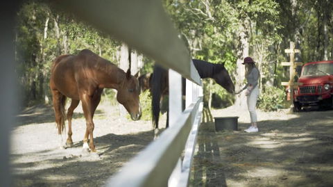 The Woods Farm Jervis Bay - Travel Search 13