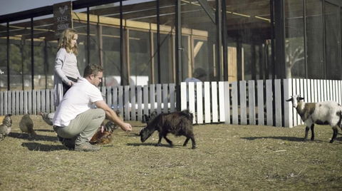 The Woods Farm Jervis Bay - Travel Search 14