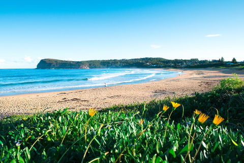 Copacabana Shores - Travel Search 2