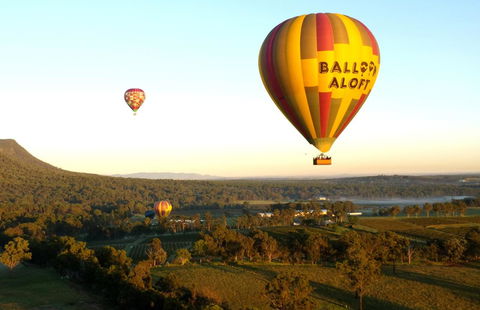 Coal D\' Vine VIEW - Cessnock NSW - Travel Search 14