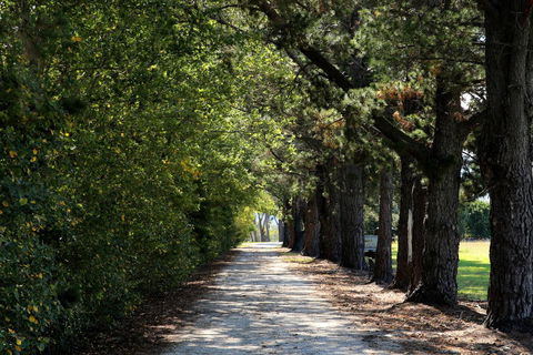 Terara Riverside Retreat - Travel Search 26