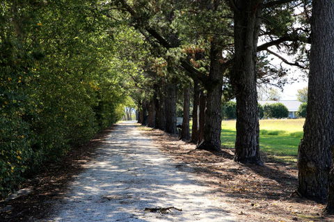 Terara Riverside Retreat - Travel Search 30