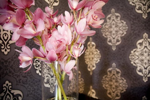 Hotel Challis Potts Point - Tourism Guide 14