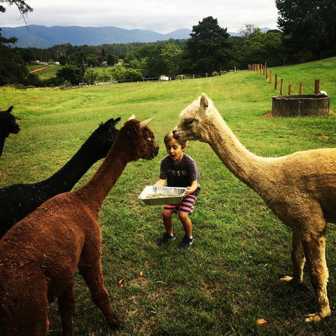 The Lodge Bellingen - Travel Agents 44