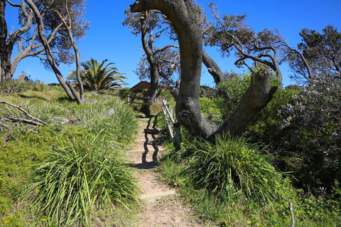 Abode @ Culburra - Pet Friendly - 4 Mins To Beach - Travel Search 25