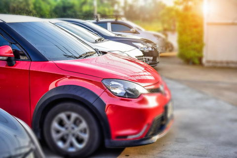 Mulwala Resort - Tourism Guide 36