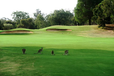 Mulwala Resort - Tourism Guide 40