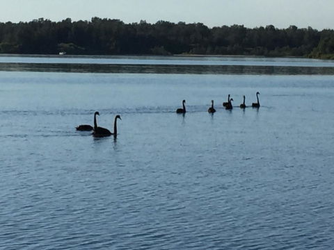 Swan Bay Hideaway - Travel Search 7