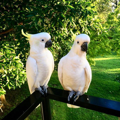 The Retreat At Palm Beach - Travel Search 17