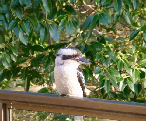 The Retreat At Palm Beach - Travel Search 18