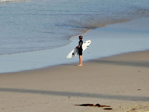 Coastal Horizons Beach House - Travel Search 20