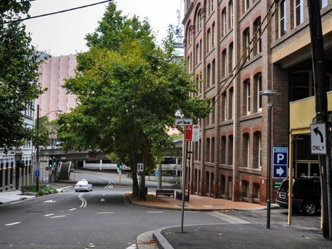 Classic 2 BR Apt In Pyrmont - Cruises Travel 23
