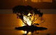 Fern Bay Motel - thumb 38