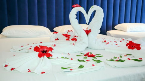 Luxury Home Hotel Next To Darling Harbour - Tourism Guide 16