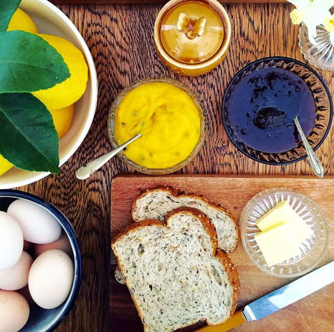 Thelma's Temora - Tourism Guide 14