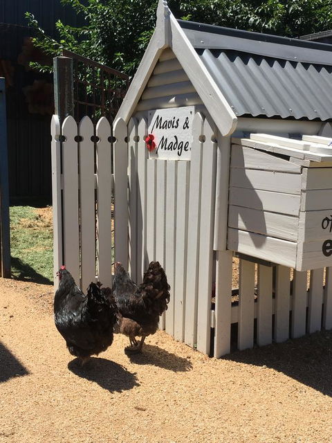 Thelma's Temora - Tourism Guide 12