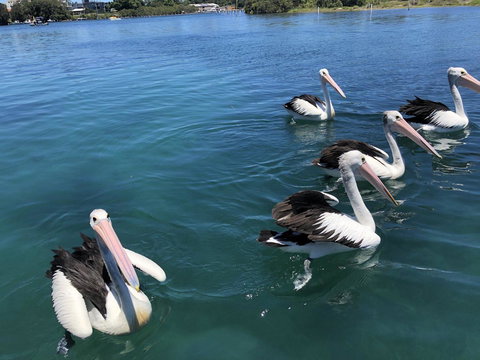 Centrepoint 10 - Tourism Guide 8