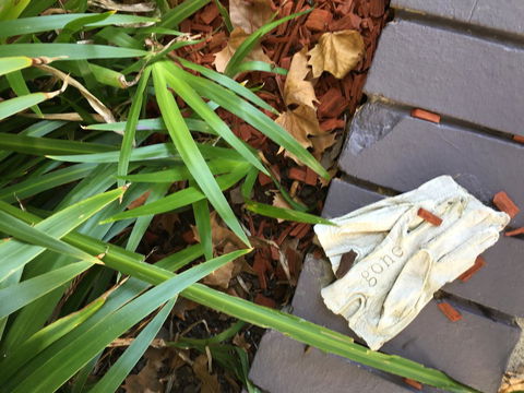 Quest St Leonards - Travel Search 22