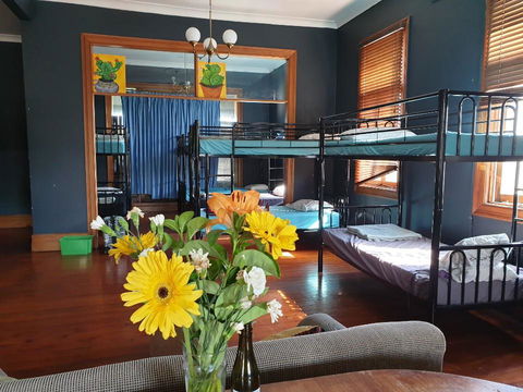 Clover Backpackers - Cruises Travel 8