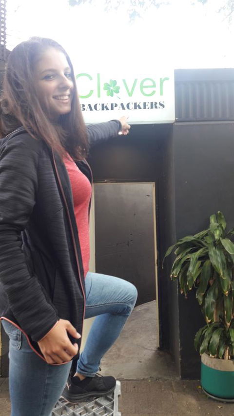 Clover Backpackers - Cruises Travel 2