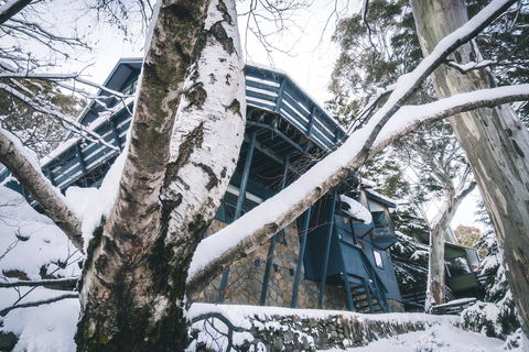Pure Chalet Thredbo - Tourism Guide 21