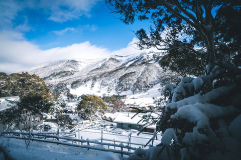 Pure Chalet Thredbo - Tourism Guide 31